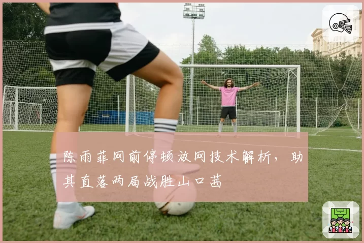 陈雨菲网前停顿放网技术解析,助其直落两局战胜山口茜