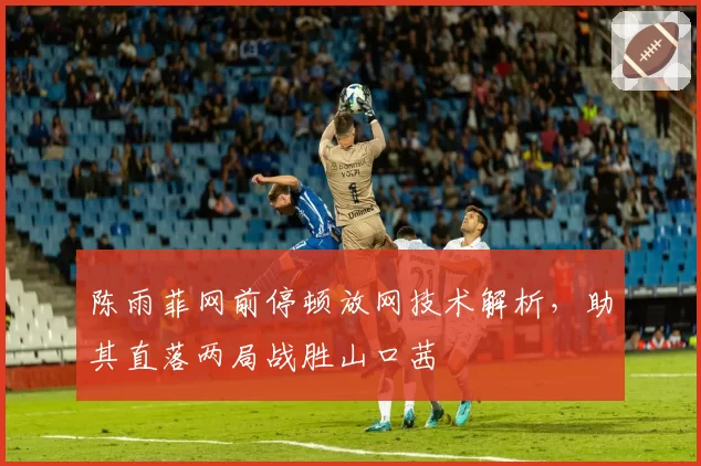陈雨菲网前停顿放网技术解析,助其直落两局战胜山口茜